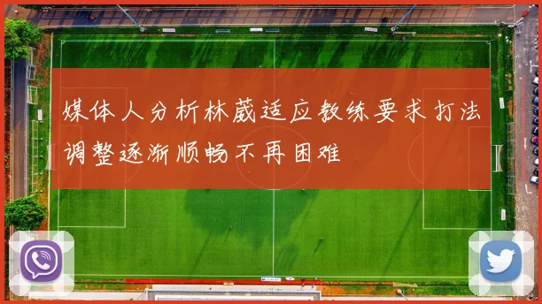 媒体人分析林葳适应教练要求打法调整逐渐顺畅不再困难
