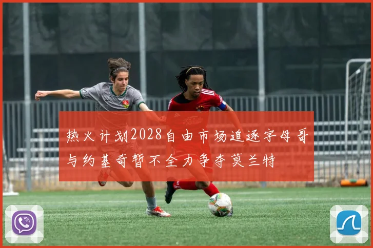 热火计划2028自由市场追逐字母哥与约基奇暂不全力争夺莫兰特