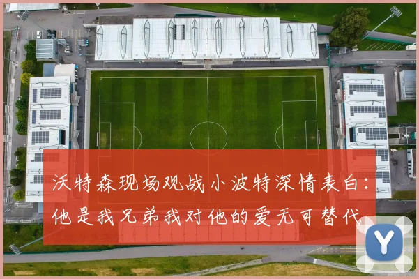 沃特森现场观战小波特深情表白：他是我兄弟我对他的爱无可替代