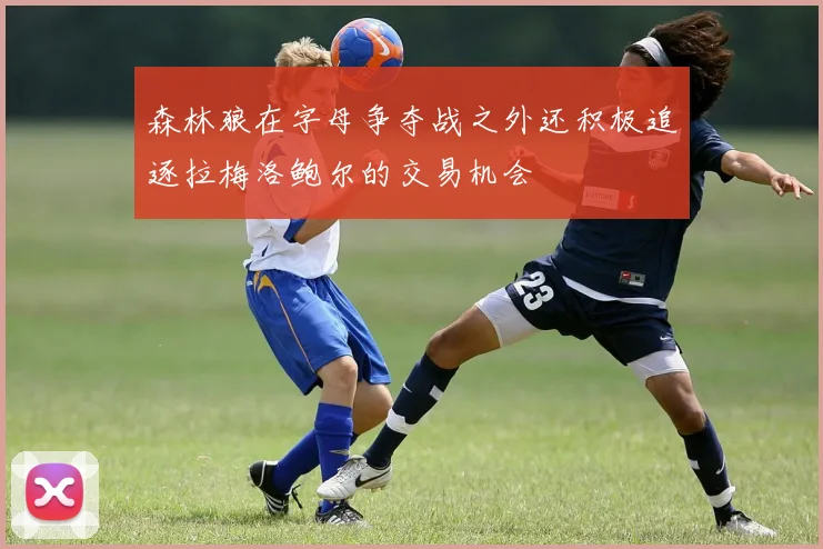 森林狼在字母争夺战之外还积极追逐拉梅洛鲍尔的交易机会